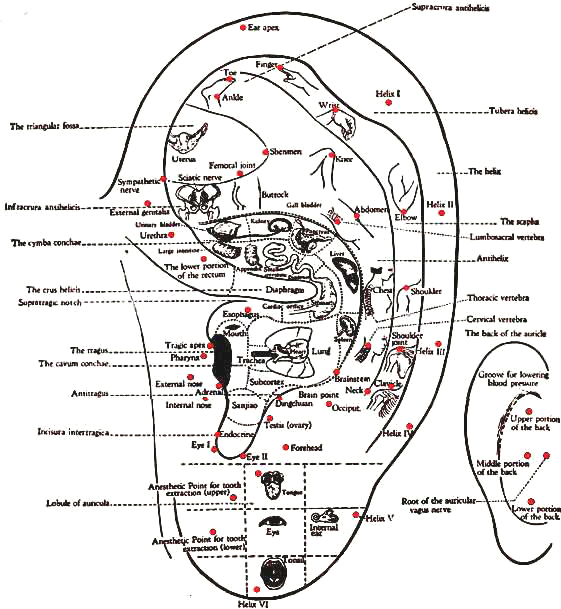 Map of all the ear points
